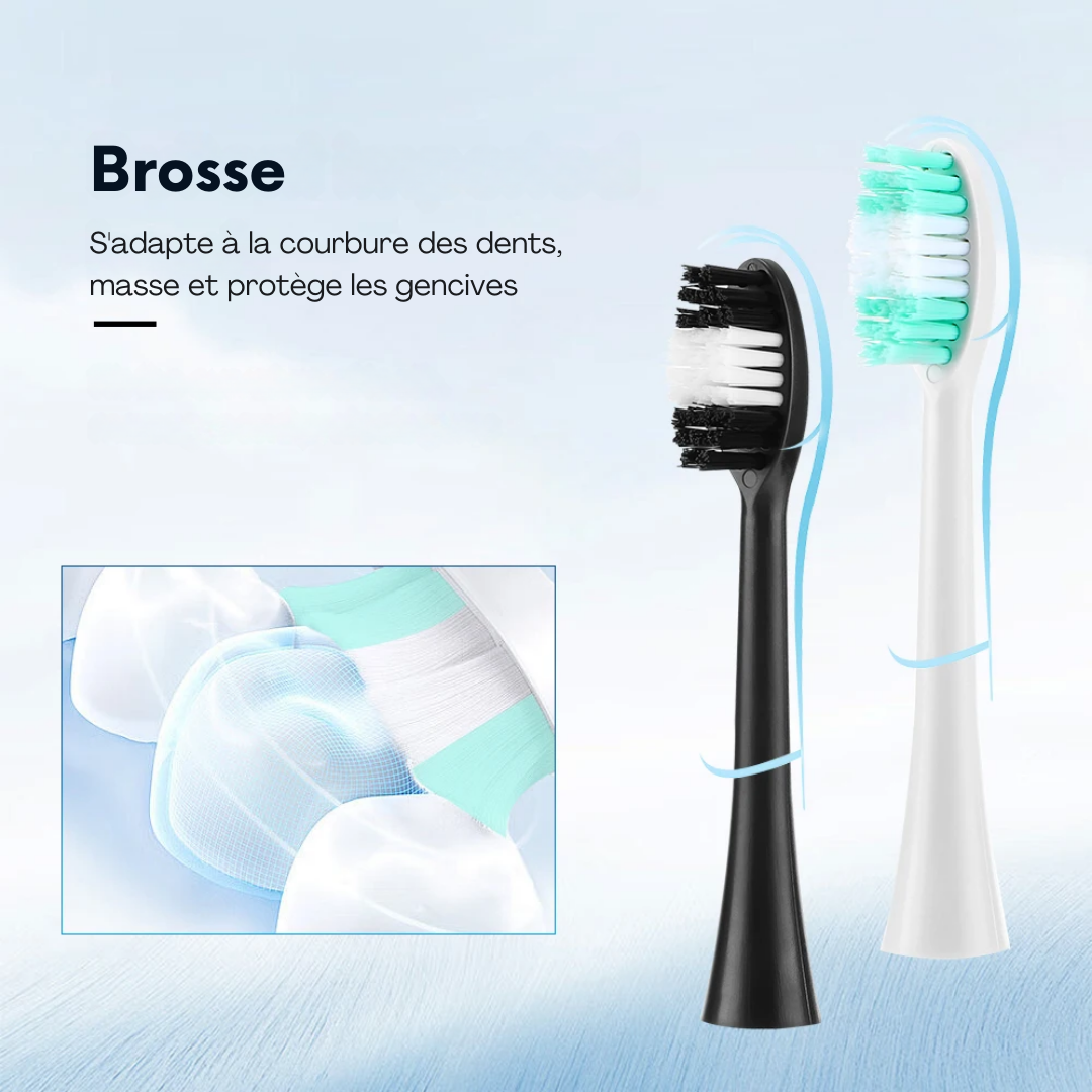 Détartreur Dentaire à Ultrasons BuccoDétartreur™ - Nettoyage Professionnel